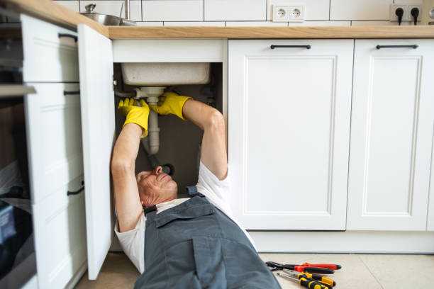Best Clogged Drain Plumber  in Springfield, KY